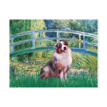 Aussie Shep 1 - Bridge Post Card