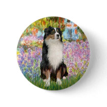 Aussie Shep 2 - Garden Pinback Button