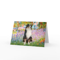 Aussie Shep 2 - Garden Cards