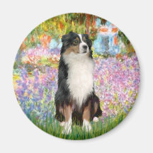 Aussie Shep 2 - Garden Magnets