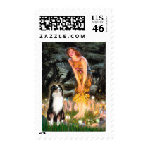 Aussie Shep 2 - Garden Postage Stamp