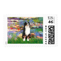 Aussie Shep 2 - Garden Postage Stamp