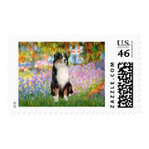 Aussie Shep 2 - Garden Postage Stamps