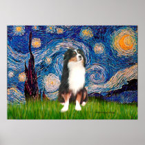 Aussie Shep (Tri2) - Starry Night Posters