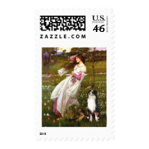 Aussie Shep (Tri2) - Windflowers Postage Stamp