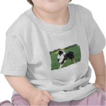 Aussie Shepherd Baby T-Shirt