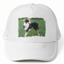 Aussie Shepherd Baseball Hat