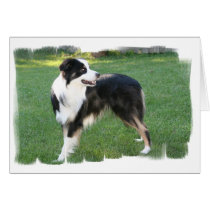 Aussie Shepherd Greeting Card