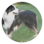 Aussie Shepherd Plate