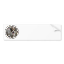 Aussie Shepherd Puppy Bumper Stickers