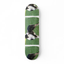 Aussie Shepherd  Skateboard