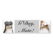 Aussie Shepherds Bumper Sticker bumper stickers by twopurringcats Aussie Shepherds Bumper Sticker bumper stickers