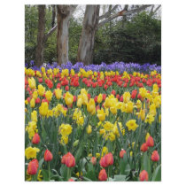 Aussie Tulip Festival flyers