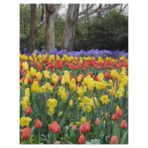 Aussie Tulip Festival letterhead