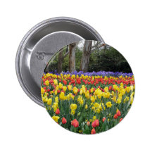 Aussie Tulip Festival Pinback Button