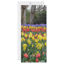 Aussie Tulip Festival rack cards