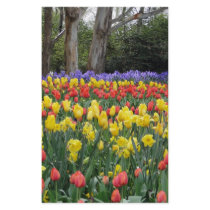 Aussie Tulip Festival stationery