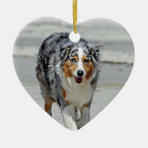 Aussies - 1st Day of Summer Beach Stroll Christmas Ornament