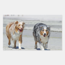 Aussies - 1st Day of Summer Beach Stroll Rectangular Sticker
