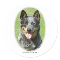 Aust Cattle Dog 9F059D-15 stickers