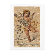 Austen's Forest Flower-1908 postcards by vintageurban Austen's Forest Flower-1908 postcards