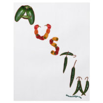 Austin Chili Peppers flyers by chili_state Austin Chili Peppers flyers