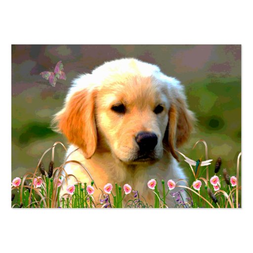 Austin Golden Labrador Puppy Business Card Template (front side)