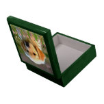 Austin Golden Labrador Puppy Keepsake Box