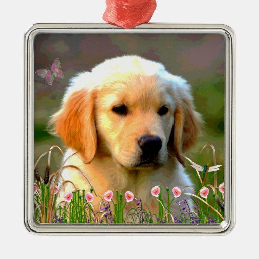 Austin Golden Labrador Puppy Christmas Tree Ornaments