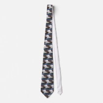 Austin Texas Custom Tie