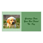 Austin The Golden Labrador Customized Photo Card