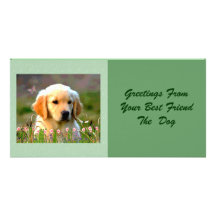Austin The Golden Labrador Customized Photo Card