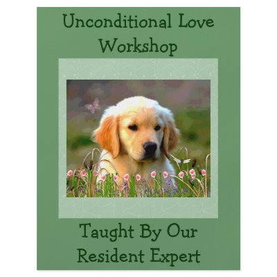 Austin The Golden Labrador Custom Flyer by orsobear
