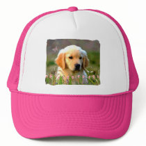 Austin The Golden Labrador Mesh Hat