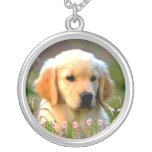 Austin The Golden Labrador Jewelry