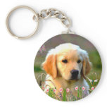 Austin The Golden Labrador Key Chain