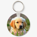 Austin The Golden Labrador keychains by orsobear Austin The Golden Labrador keychains