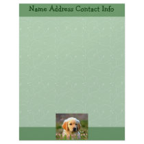 Austin The Golden Labrador Letterhead