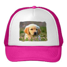 Austin The Golden Labrador Mesh Hat