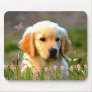 Austin The Golden Labrador Mouse Mats