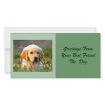 Austin The Golden Labrador Customized Photo Card