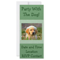 Austin The Golden Labrador rack cards by orsobear Austin The Golden Labrador rack cards