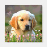 Austin The Golden Labrador Refrigerator Magnet