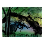 Austin Tree Cat Postcard