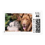 Austrailan Shepard Autumn 09 Postage Stamp
