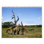Australia 2012 Calendar