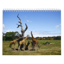 Australia 2012 Calendar