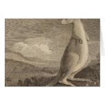 Australia 6 greeting cards