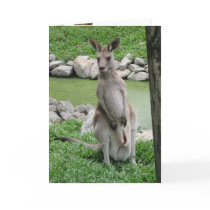 Australia Beckons Cards