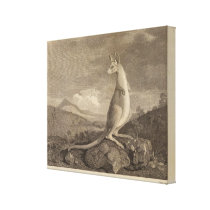 Australia Canvas Prints